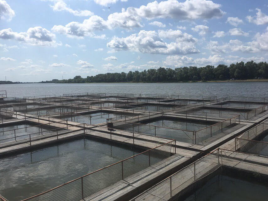 Caspian caviar store