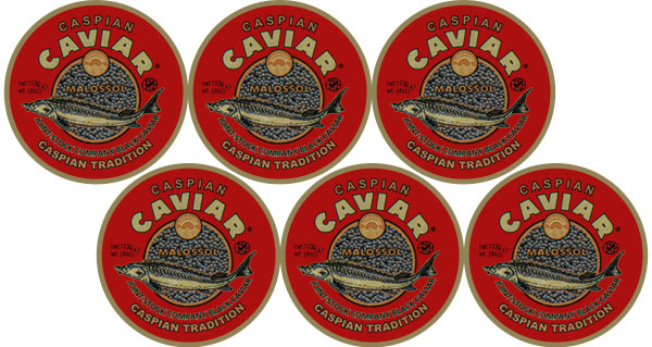 Sevruga Caviar 678g Sevruga Caviar 678g