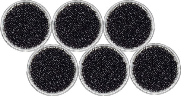 Sevruga Caviar 678g Sevruga Caviar 678g